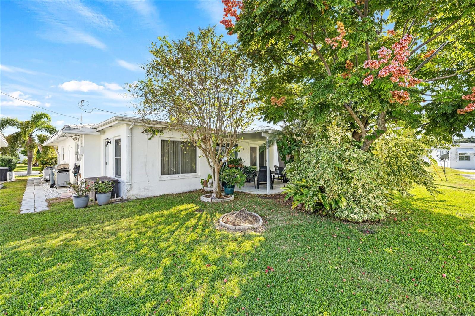 Back Yard with Landscape for Privacy
