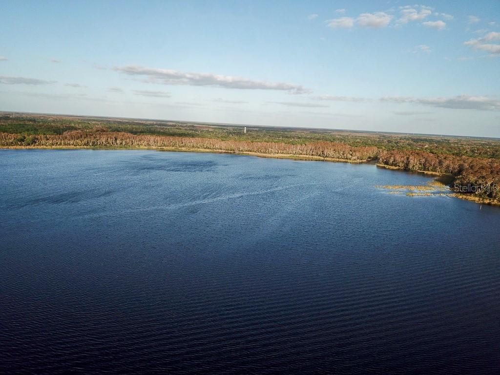 Lake Tarpon