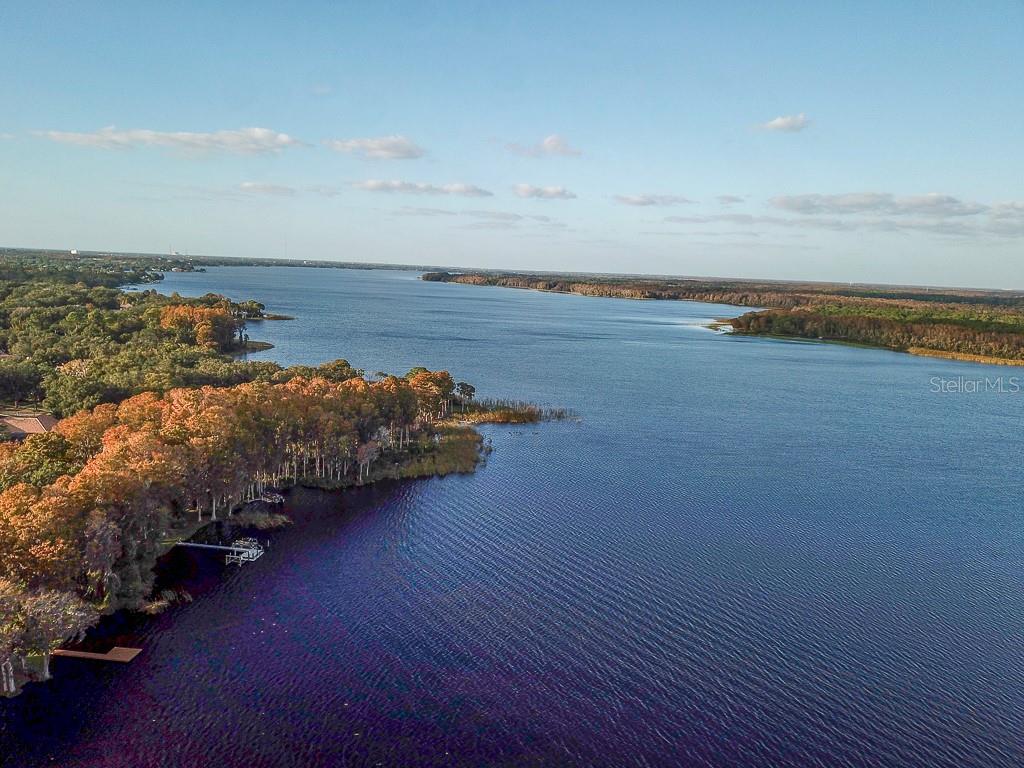 Lake Tarpon
