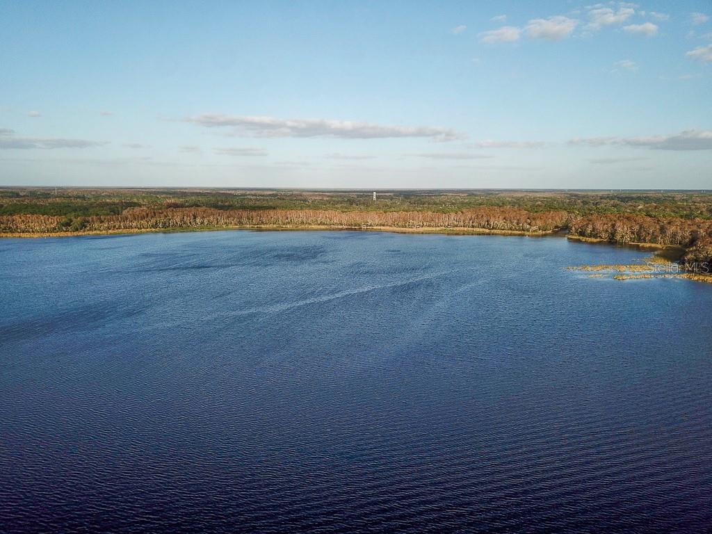 Lake Tarpon