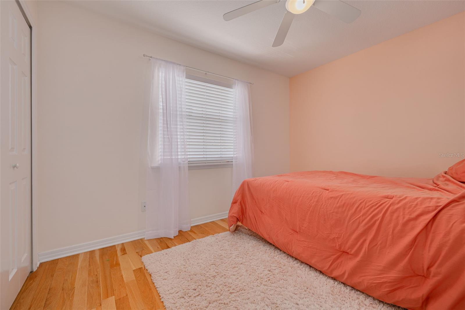 Guest Bed