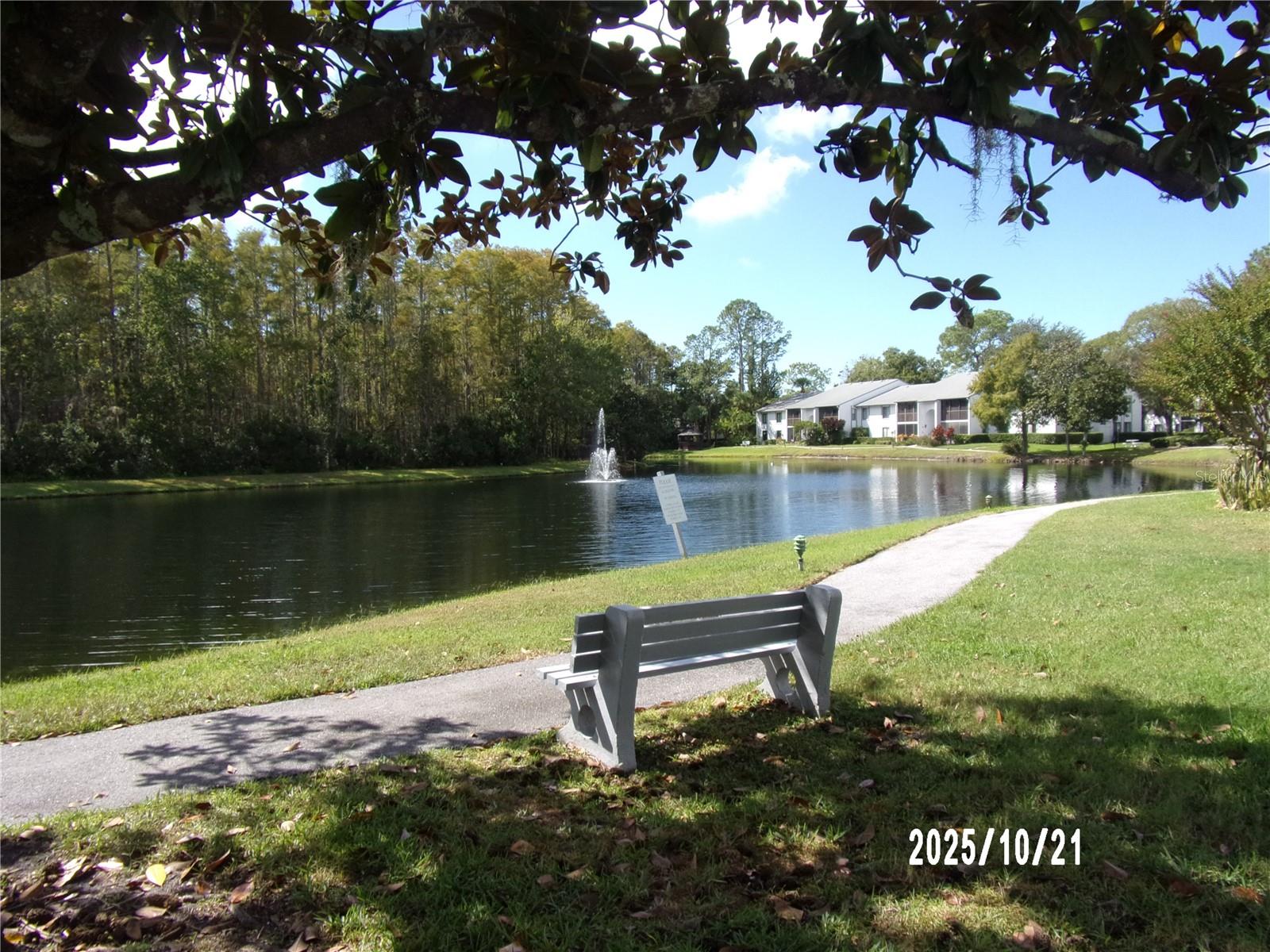 Park Bench on Trail