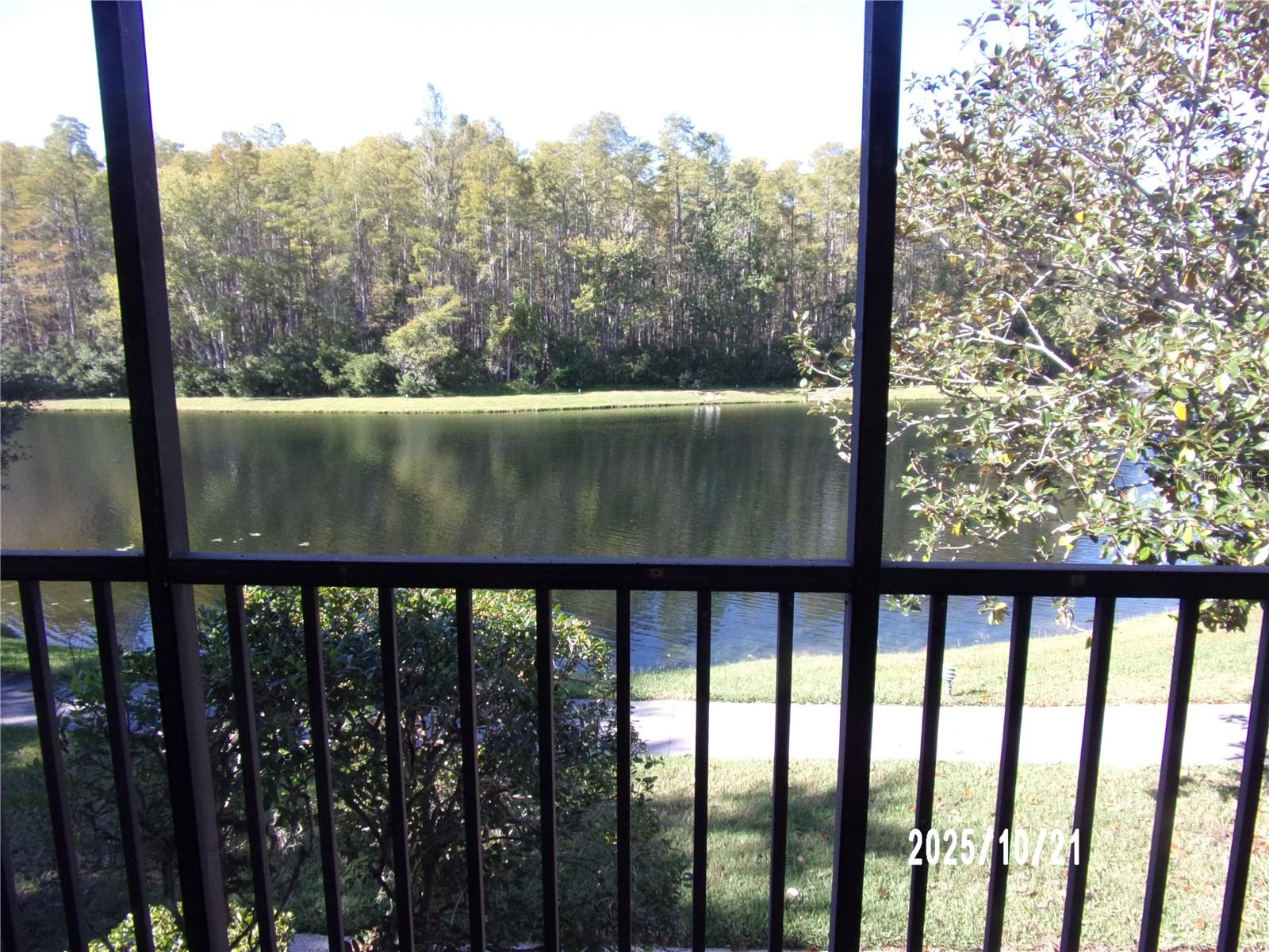 Screened Patio Over looks Pond