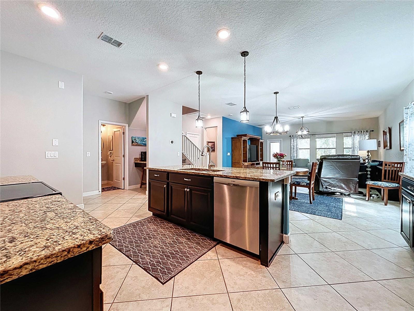 Rear Kitchen View