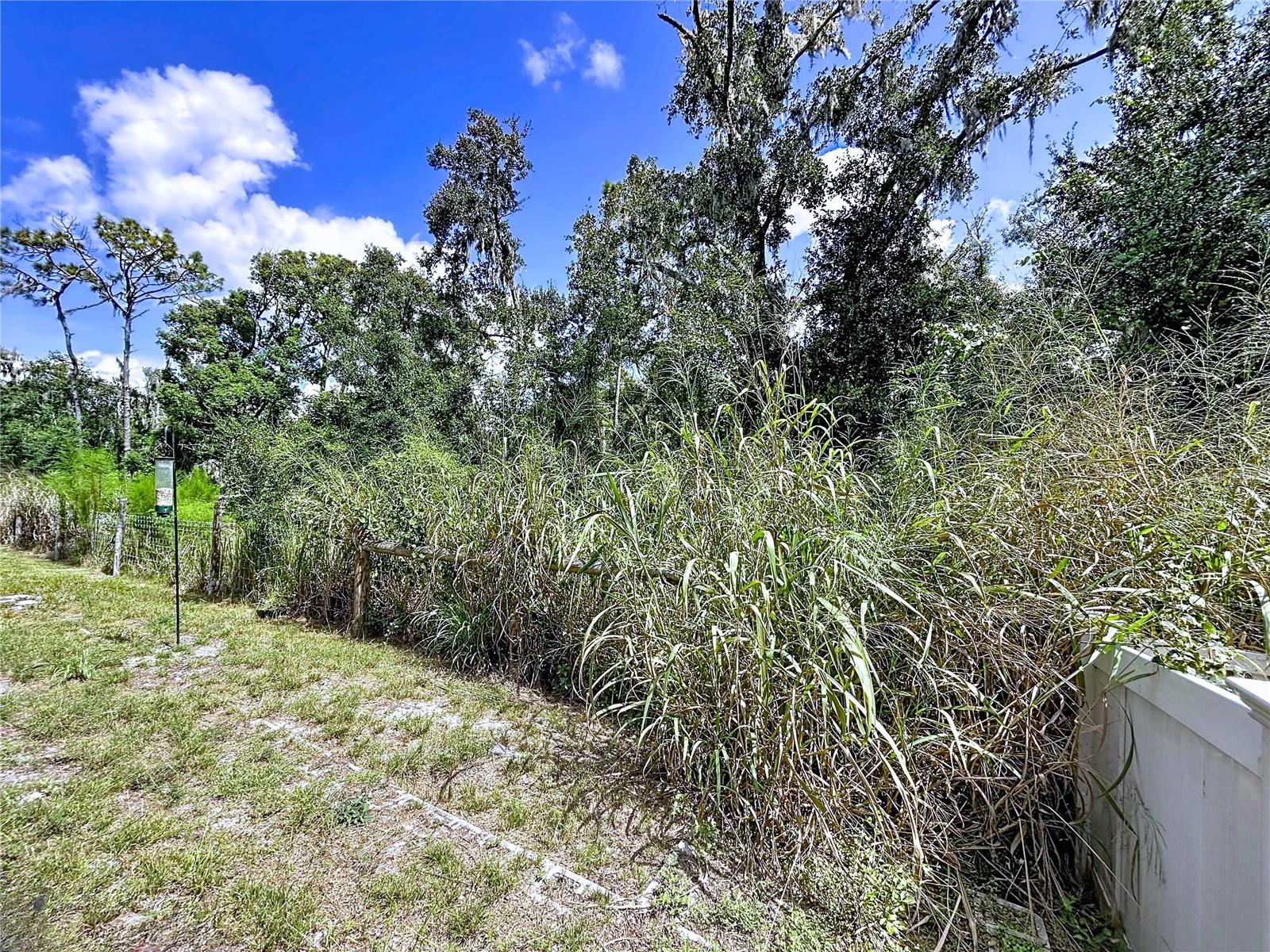 Backs Up to Conservation Area~No Neighbors!!!