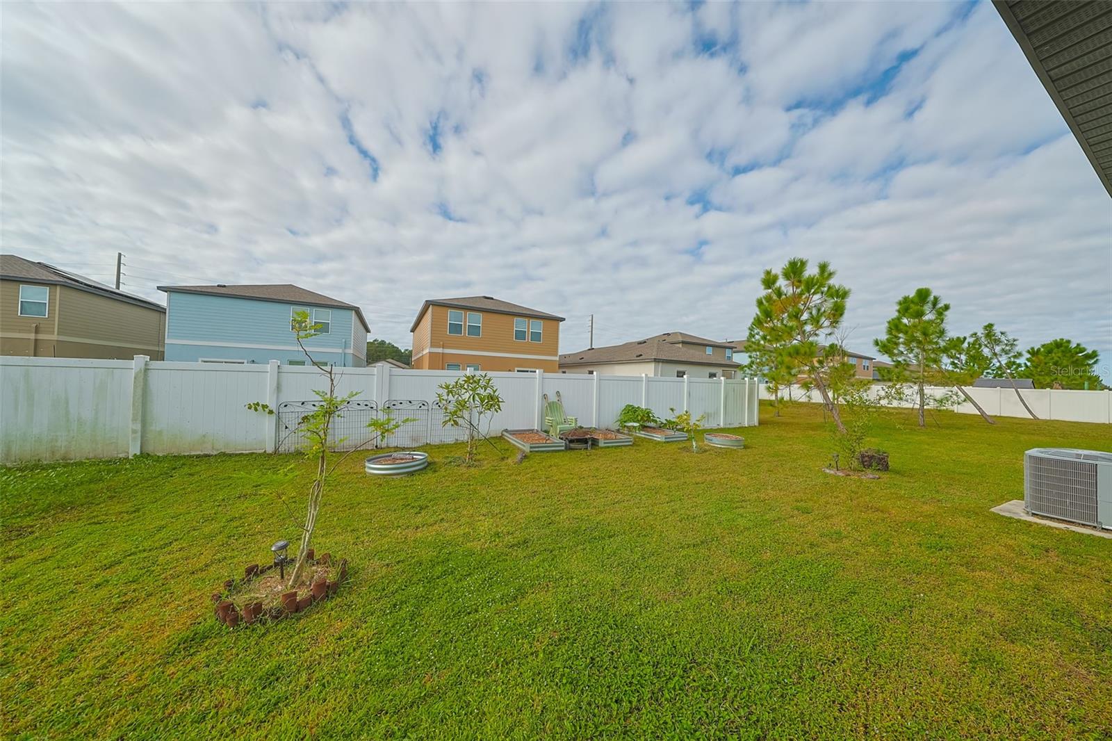 back yard