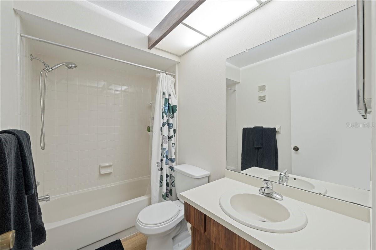 Guest bathroom