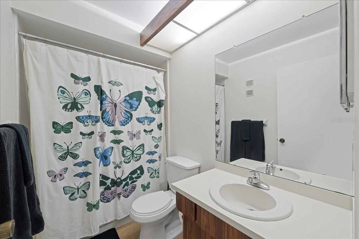 Guest bathroom
