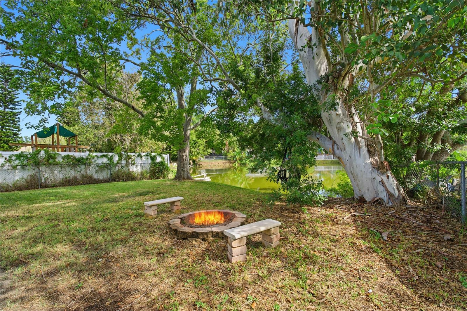 Back Yard