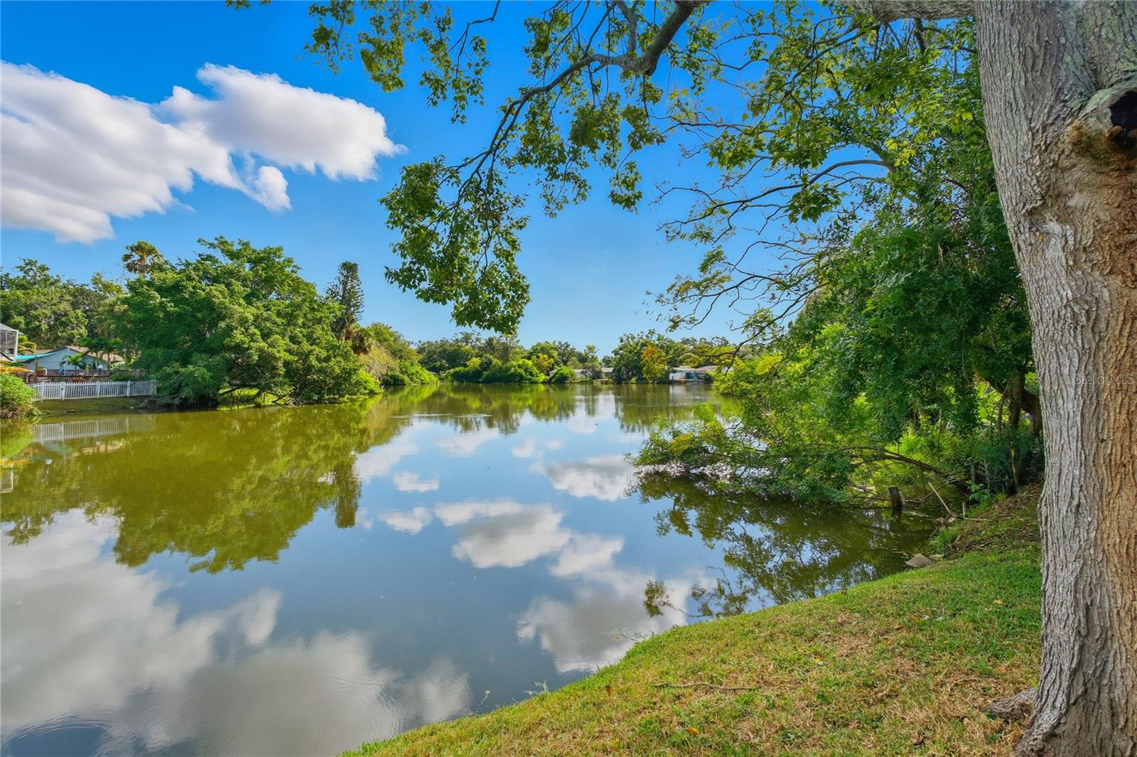 Lake Front