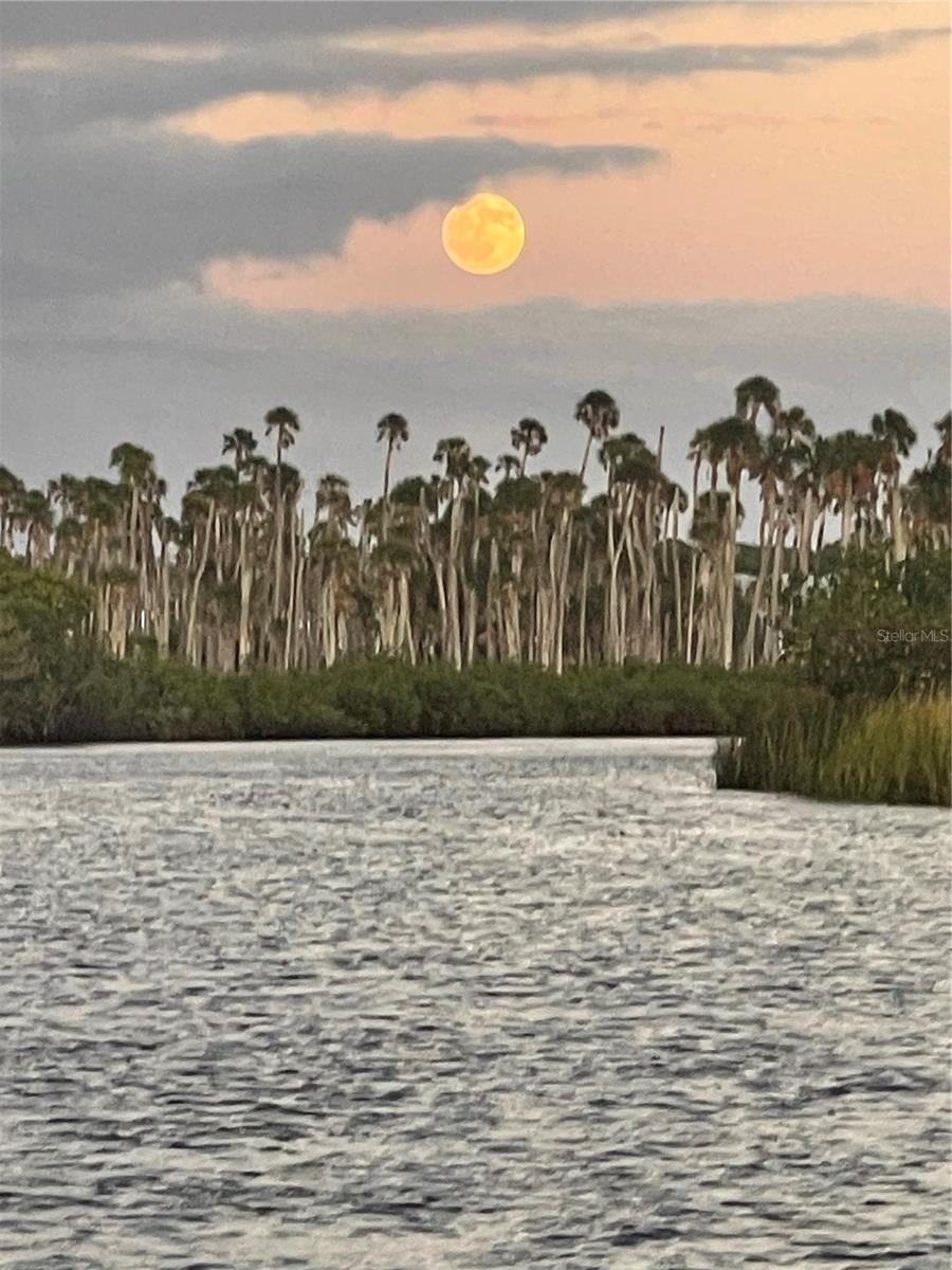 Your boat, kayak, or SUP view from the river to the Gulf with direct access from the Weeki Wachee River to the Gulf from Rogers Park, Jenkins Preserve, etc.  You'll love the convenience and the views!