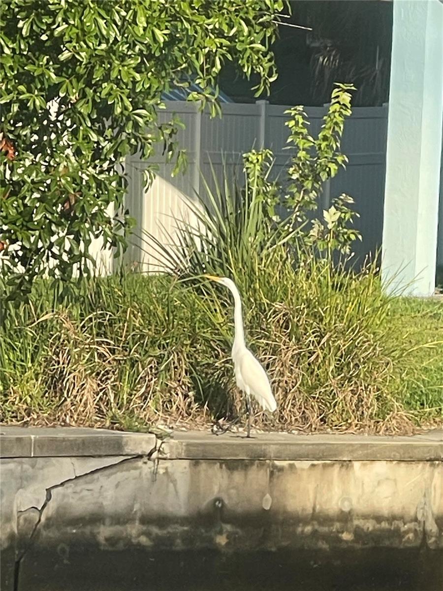 You'll be surrounded by nature with daily bird sightings.