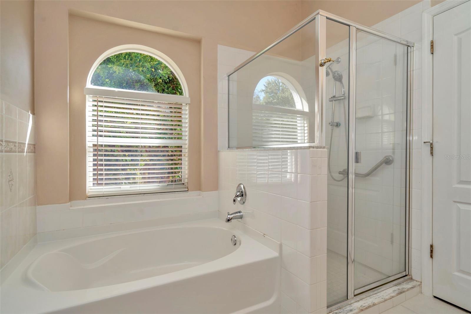 Master bathroom tub and shower
