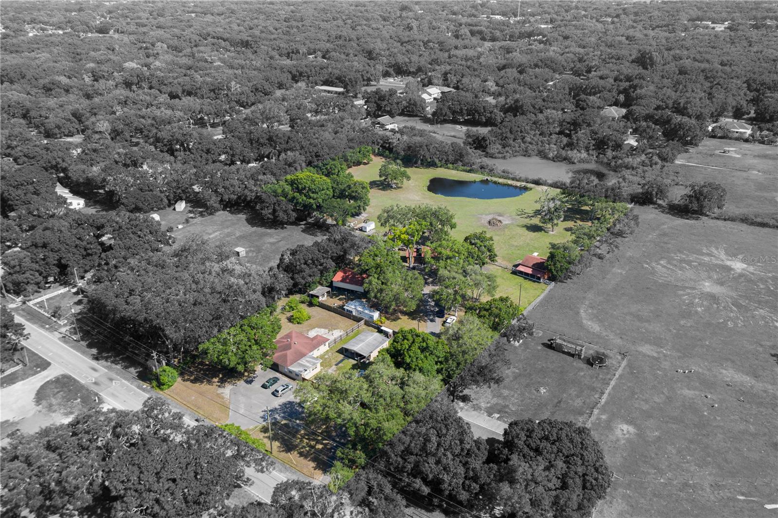 Lot spotlight
