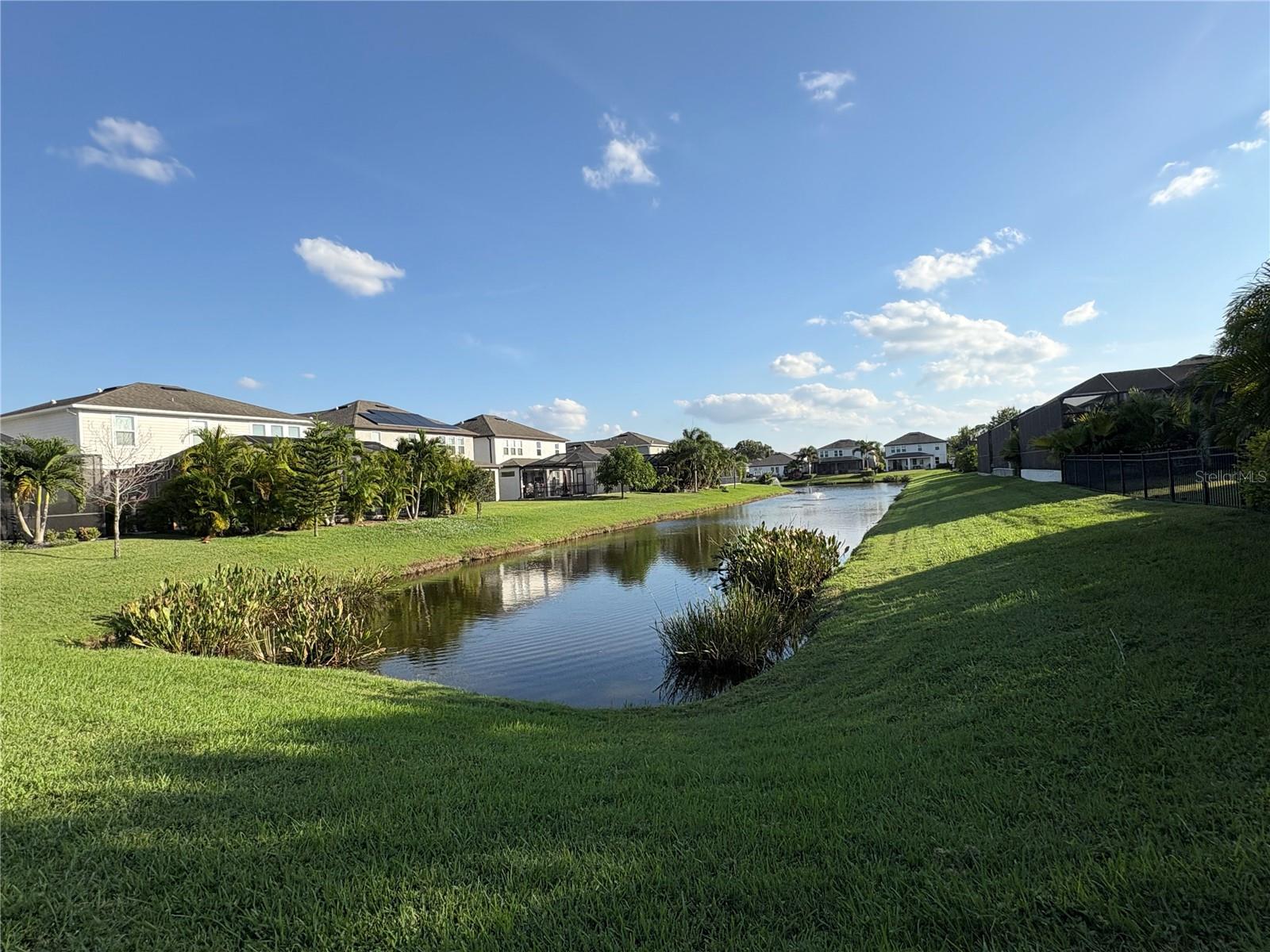 Pond view in the back of the house