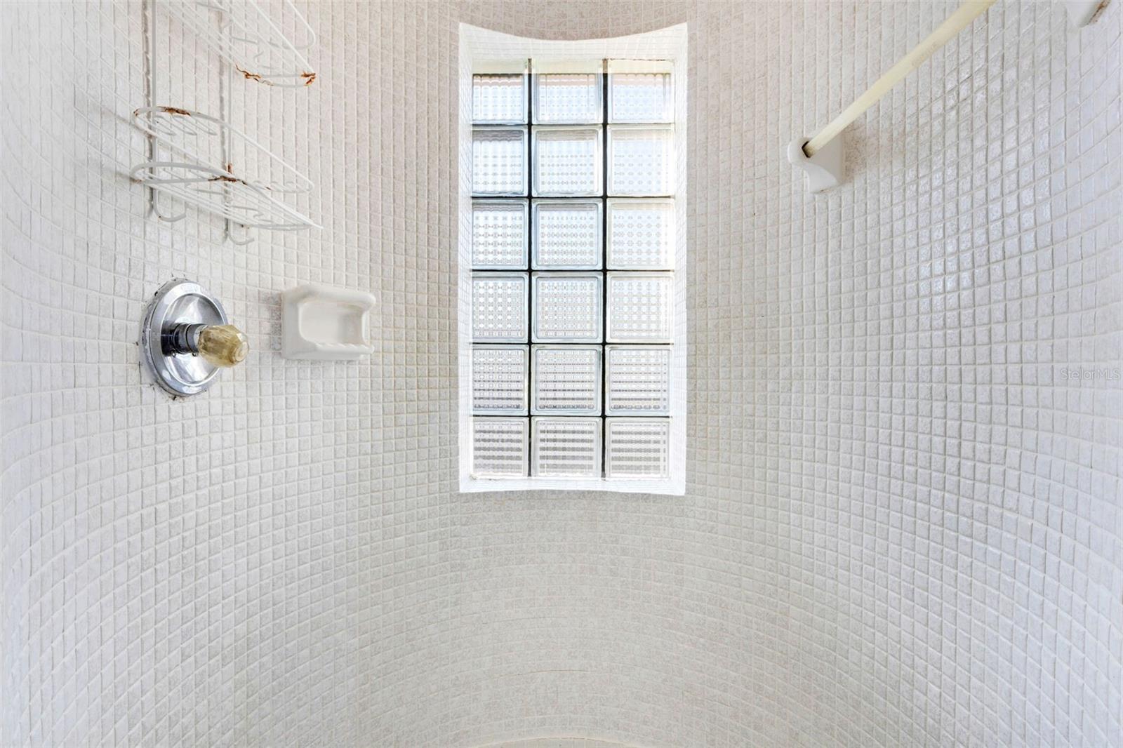 Circular Glass Block Shower