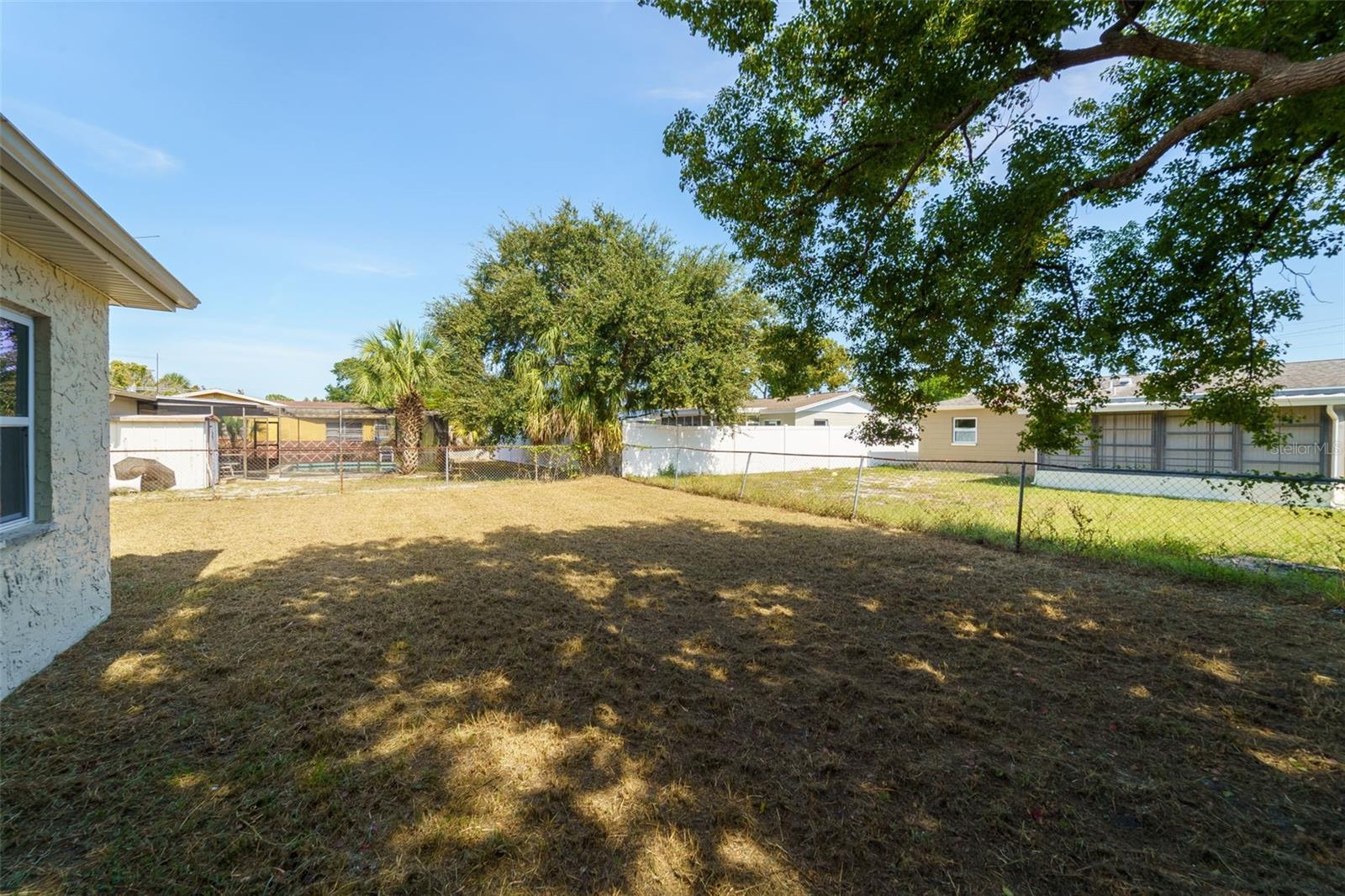 Backyard