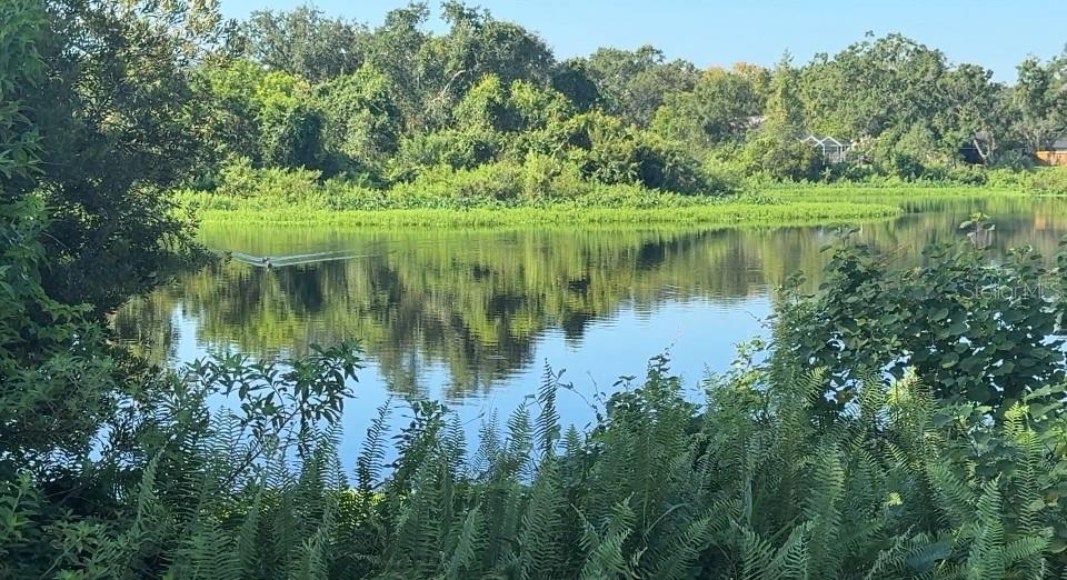 VIew of Lake