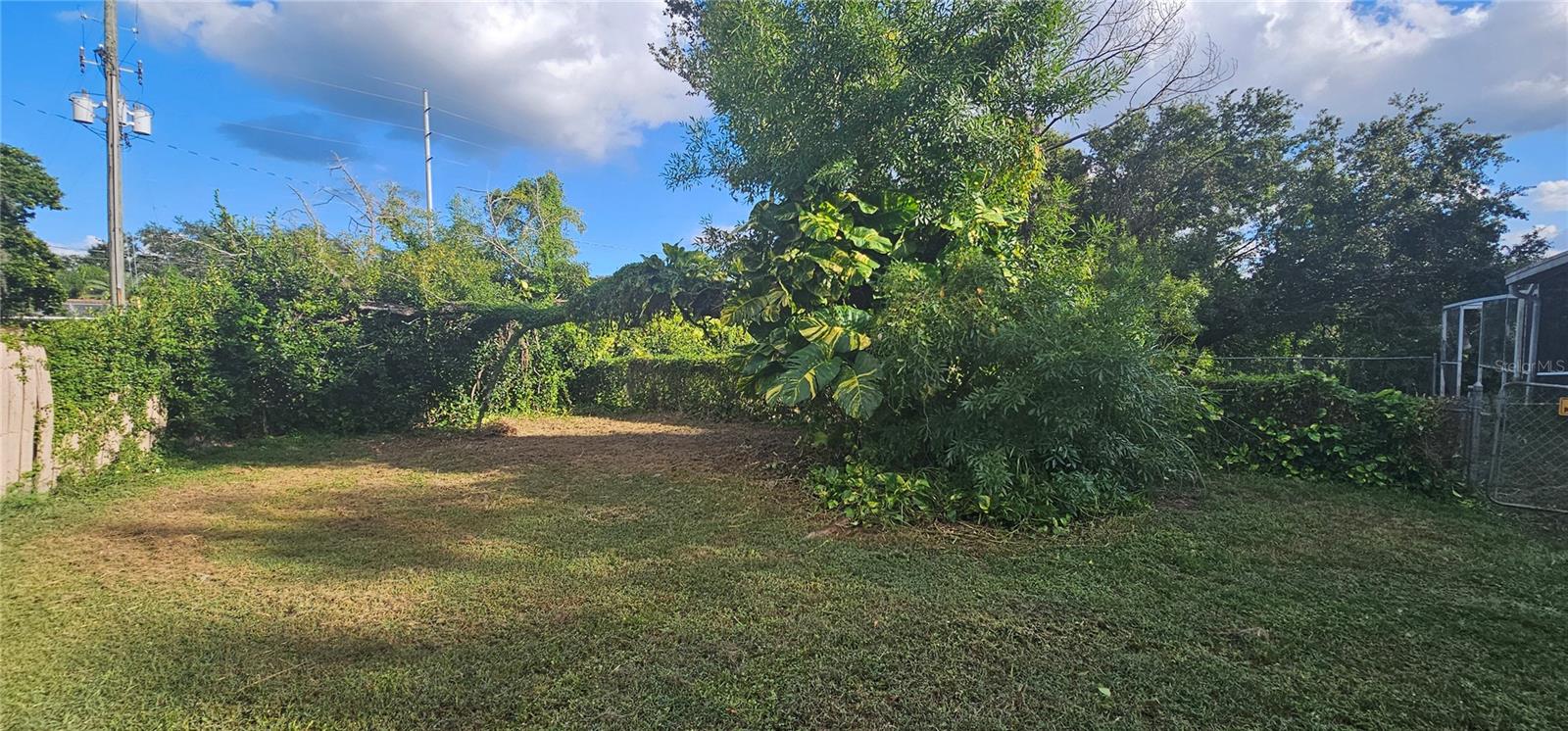 yard