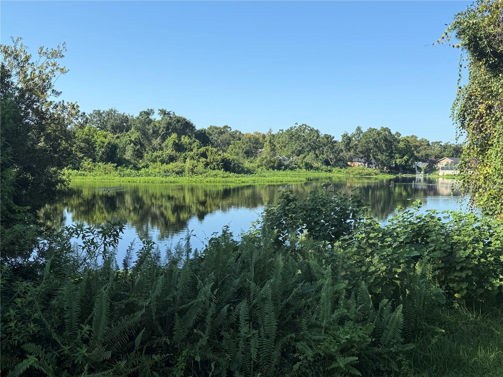 Lake View