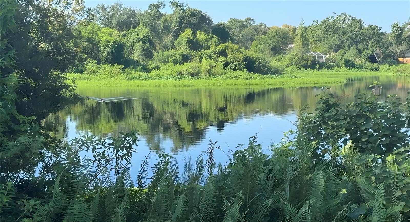 Beautiful view of lake