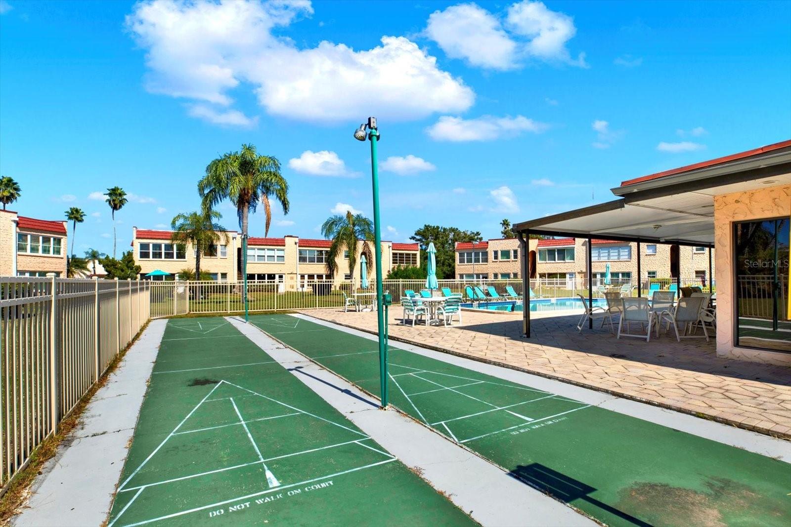 Shuffleboard Court