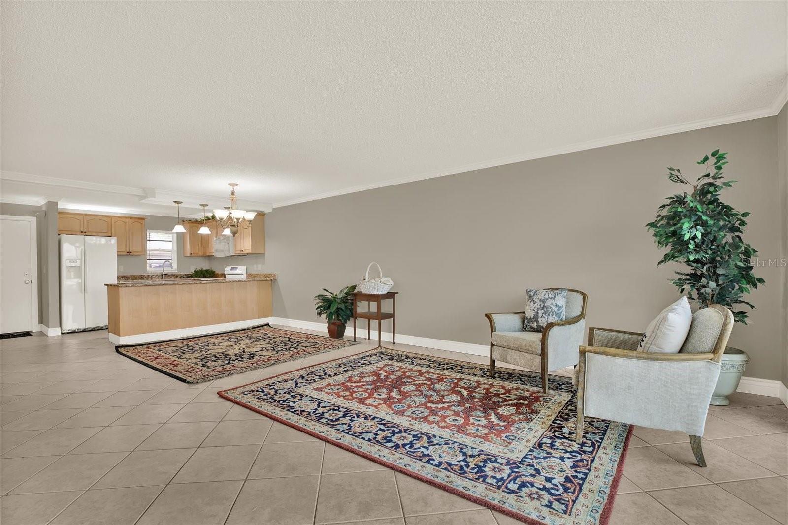 Living Room and Kitchen