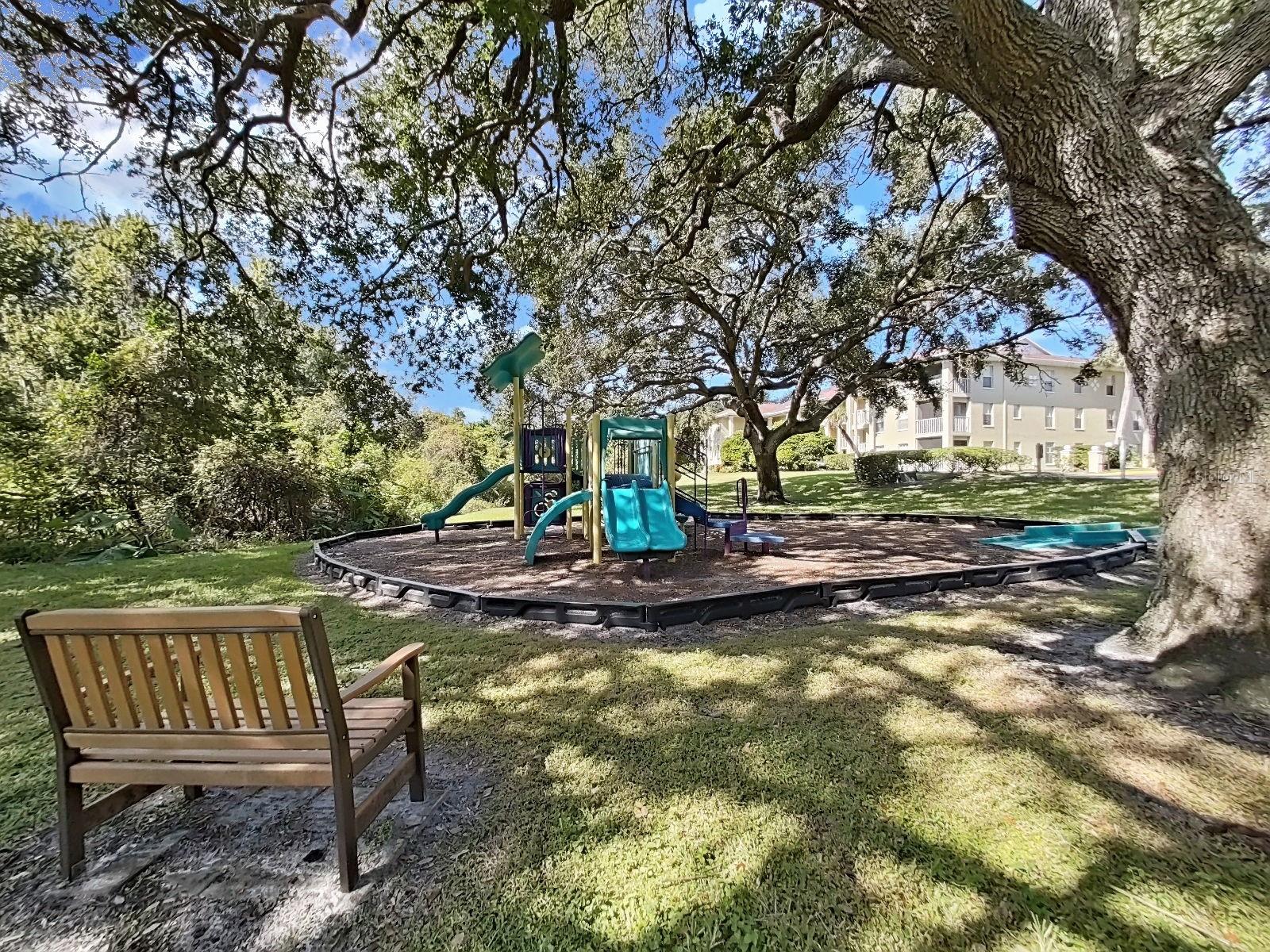 Playground area under the shade of the oaks!