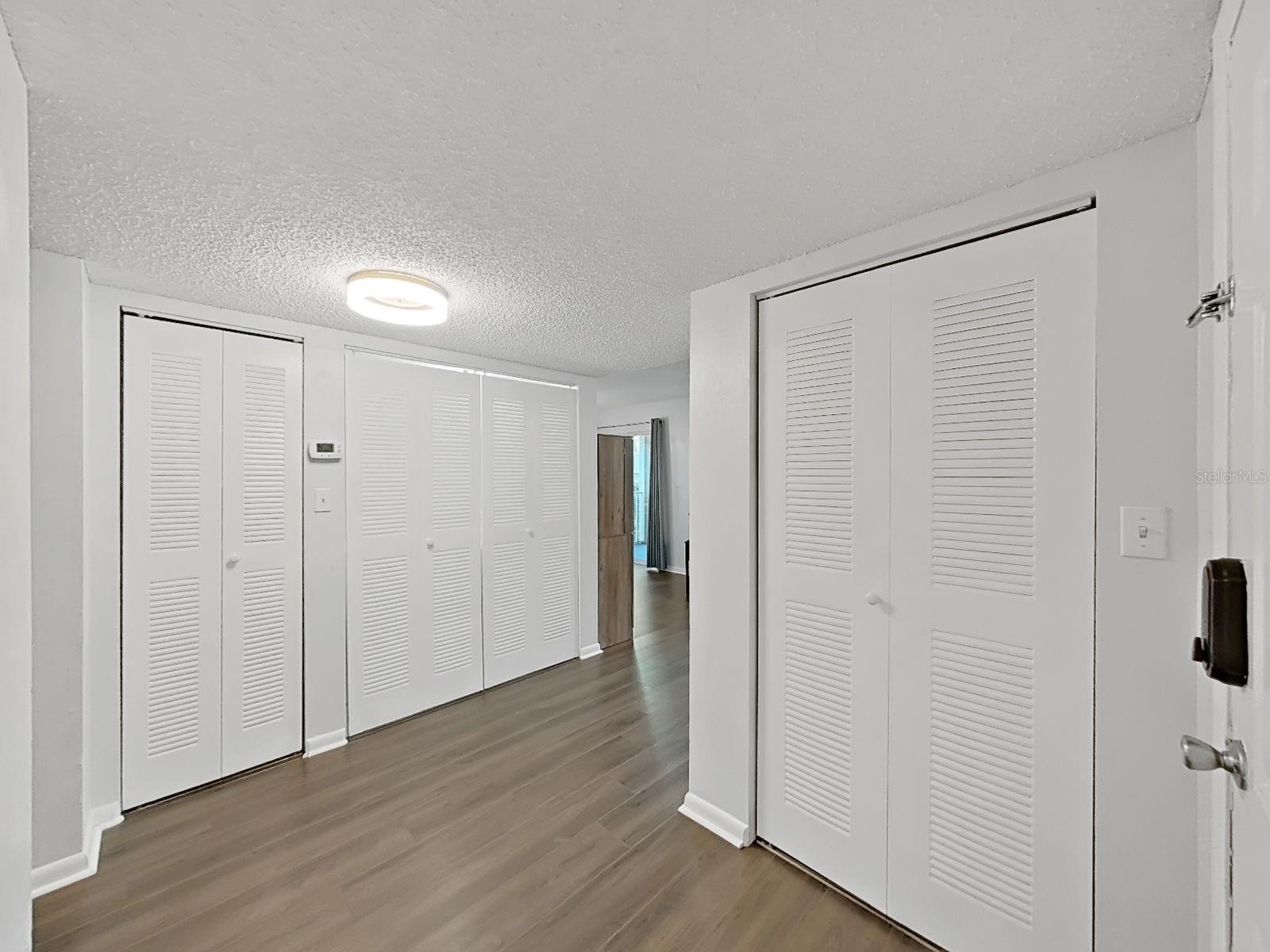 Foyer and Entry Hall. More Storage!