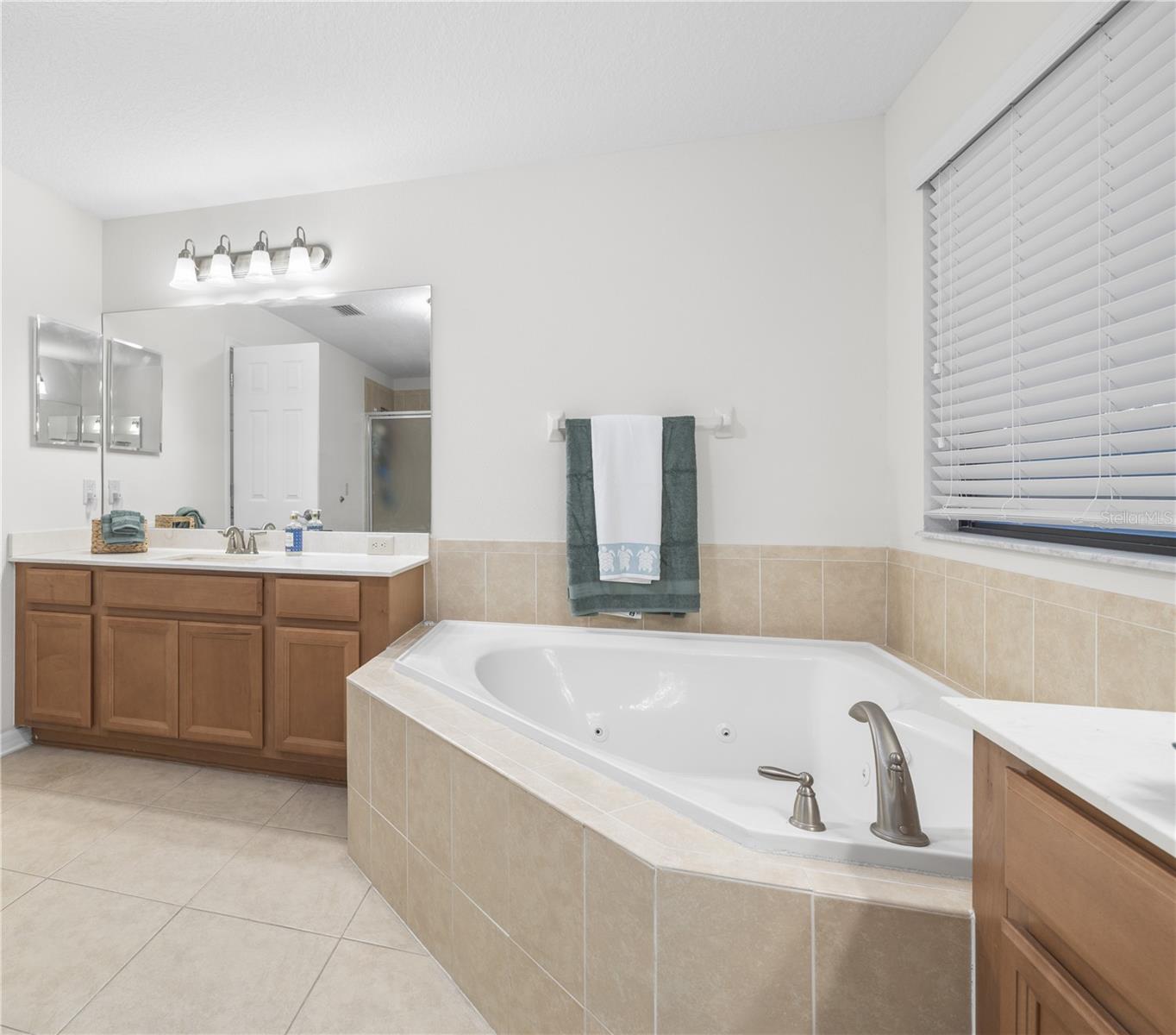 Primary bathroom