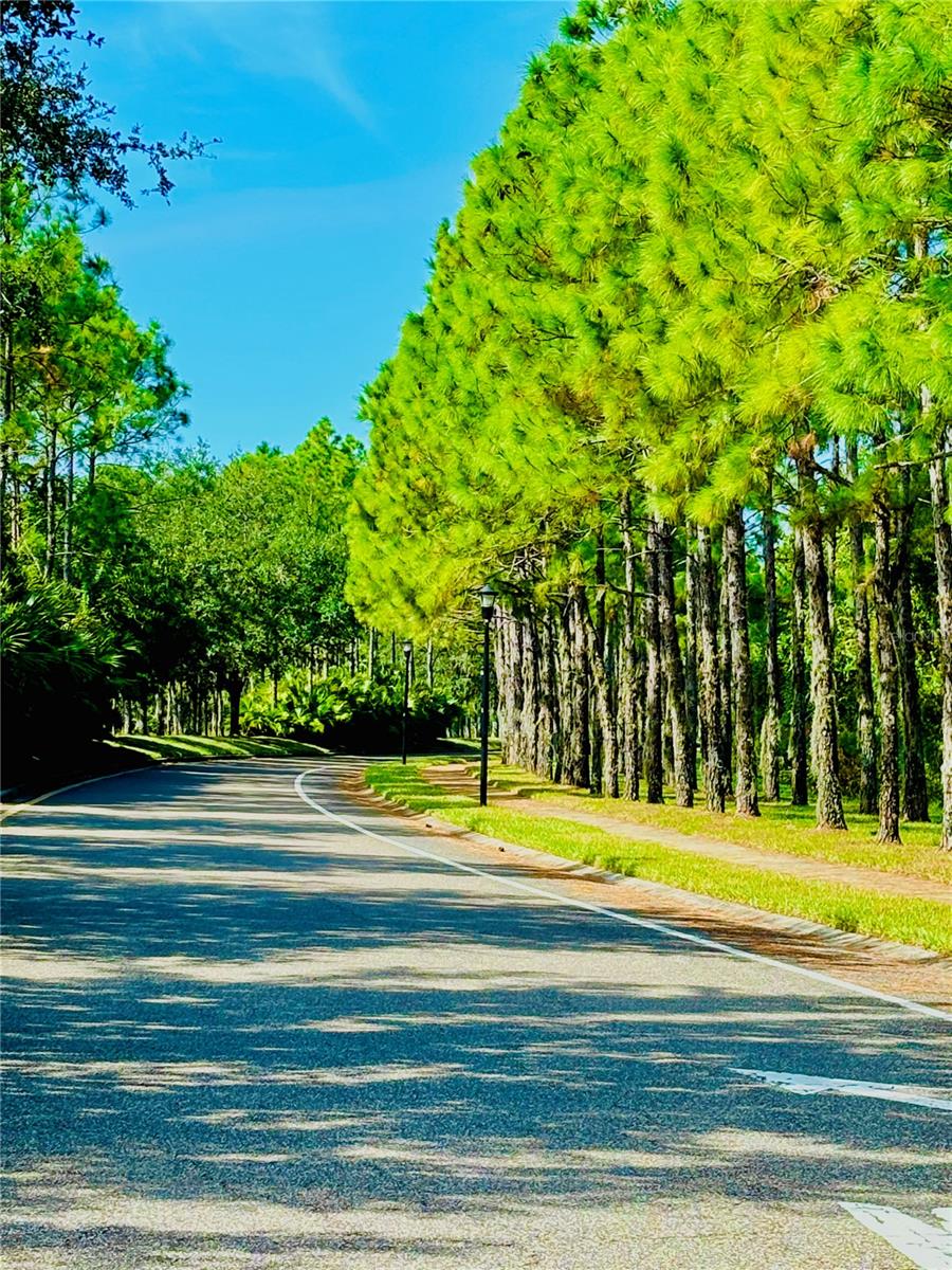 Dedicated Bike Lane and walking path