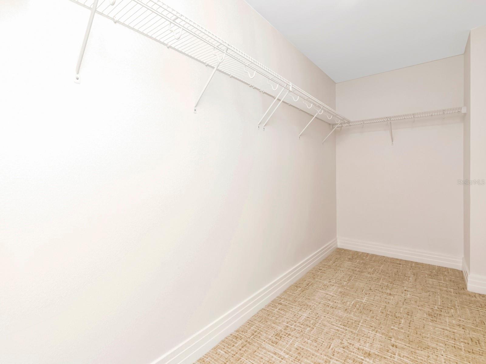 Huge (!) primary closet
