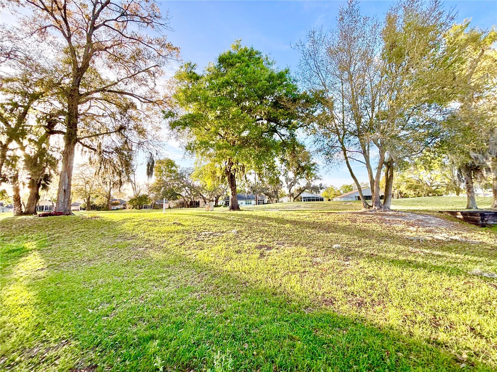 Big backyard