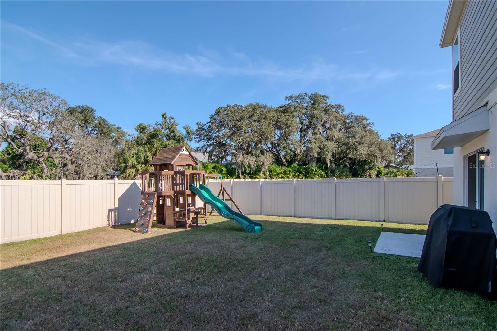 Oversized Backyard