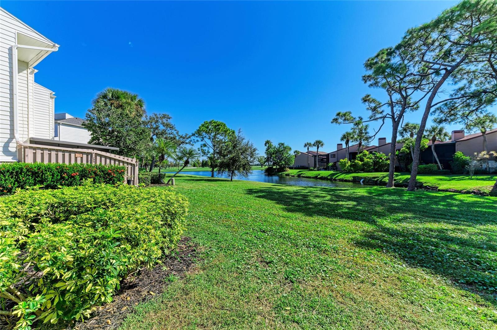 Lake view
