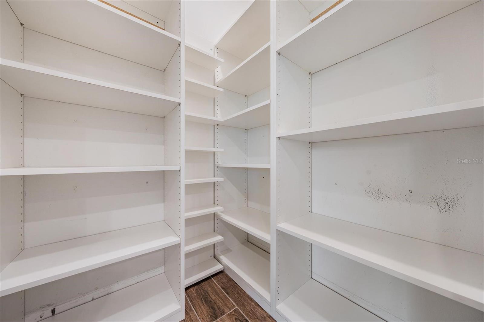 Custom closet in pantry