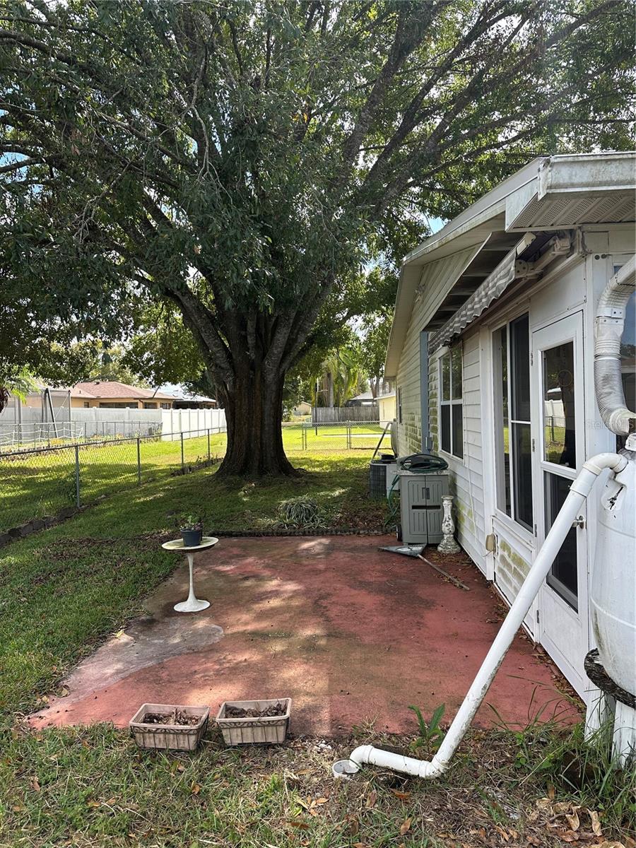 Back Yard