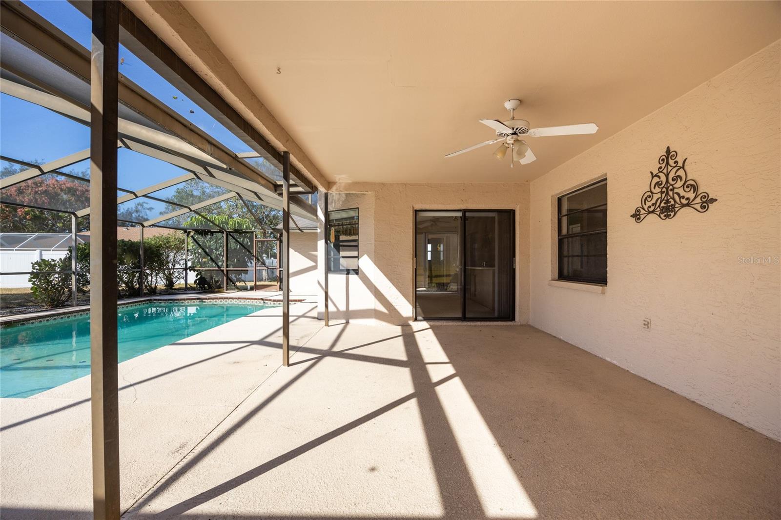 Pool / Patio