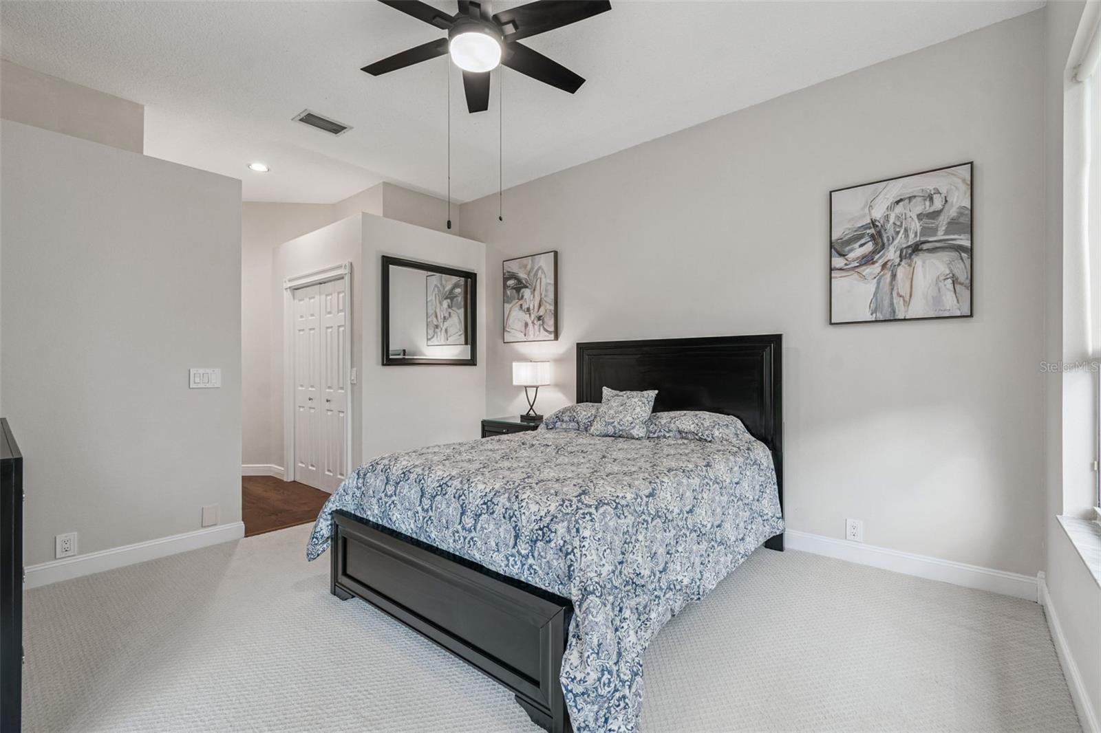 Brand new carpet and ceiling fan