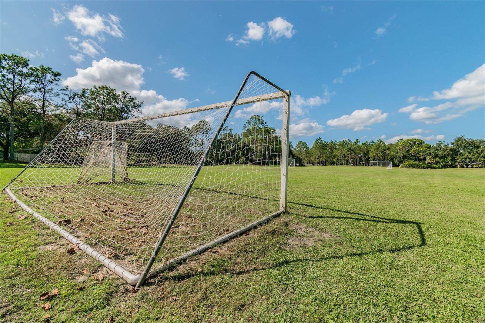 Soccer fields