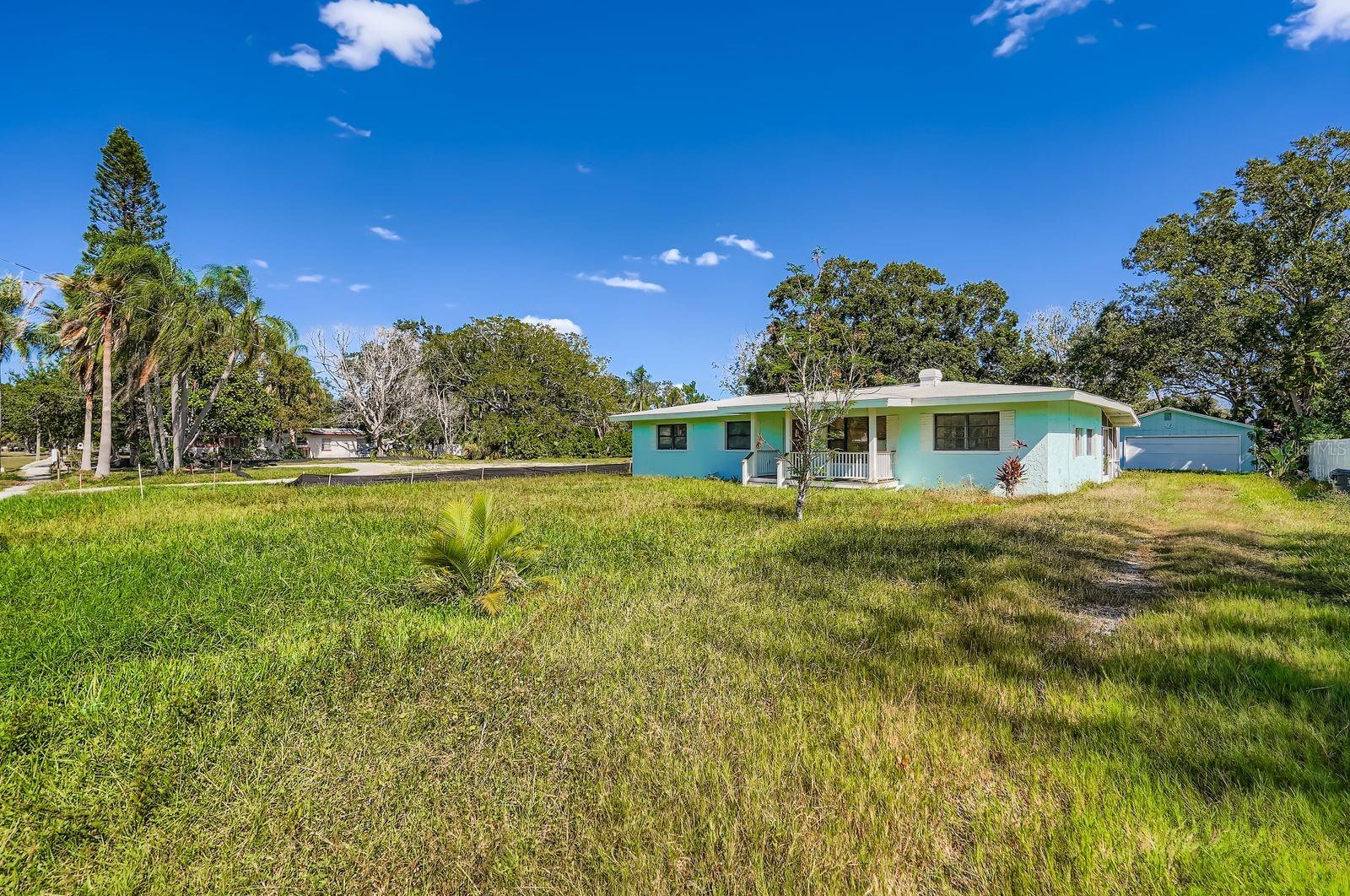 Front yard and driveway