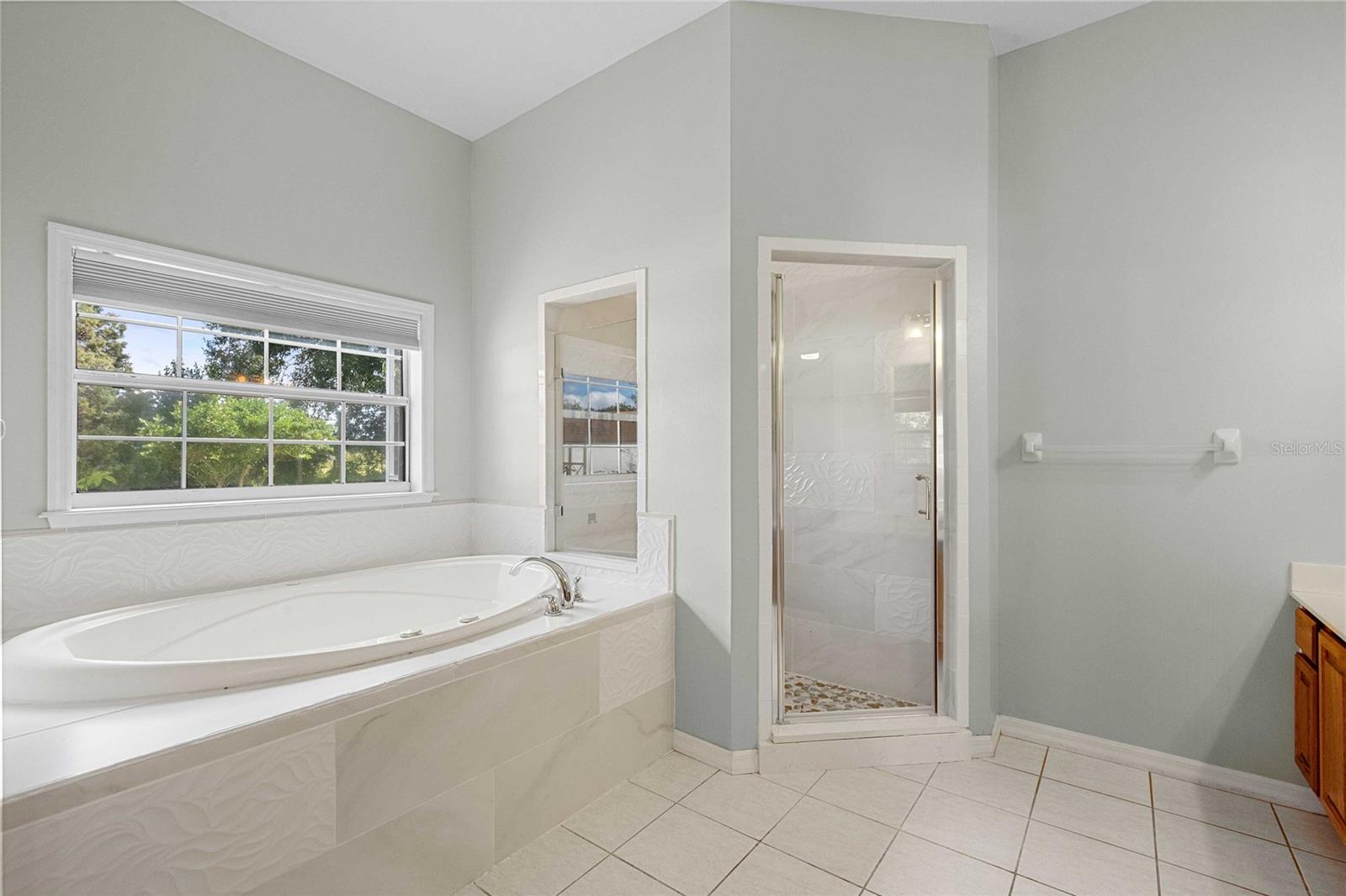 primary bathroom