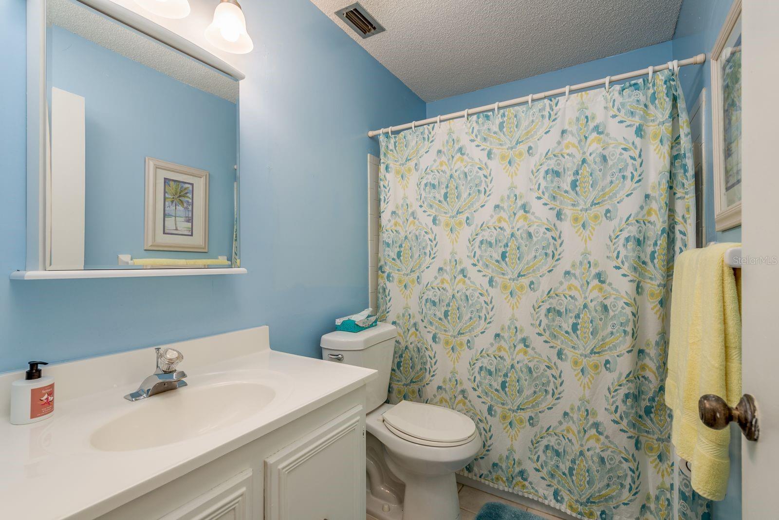 Hall bathroom has a tub shower.