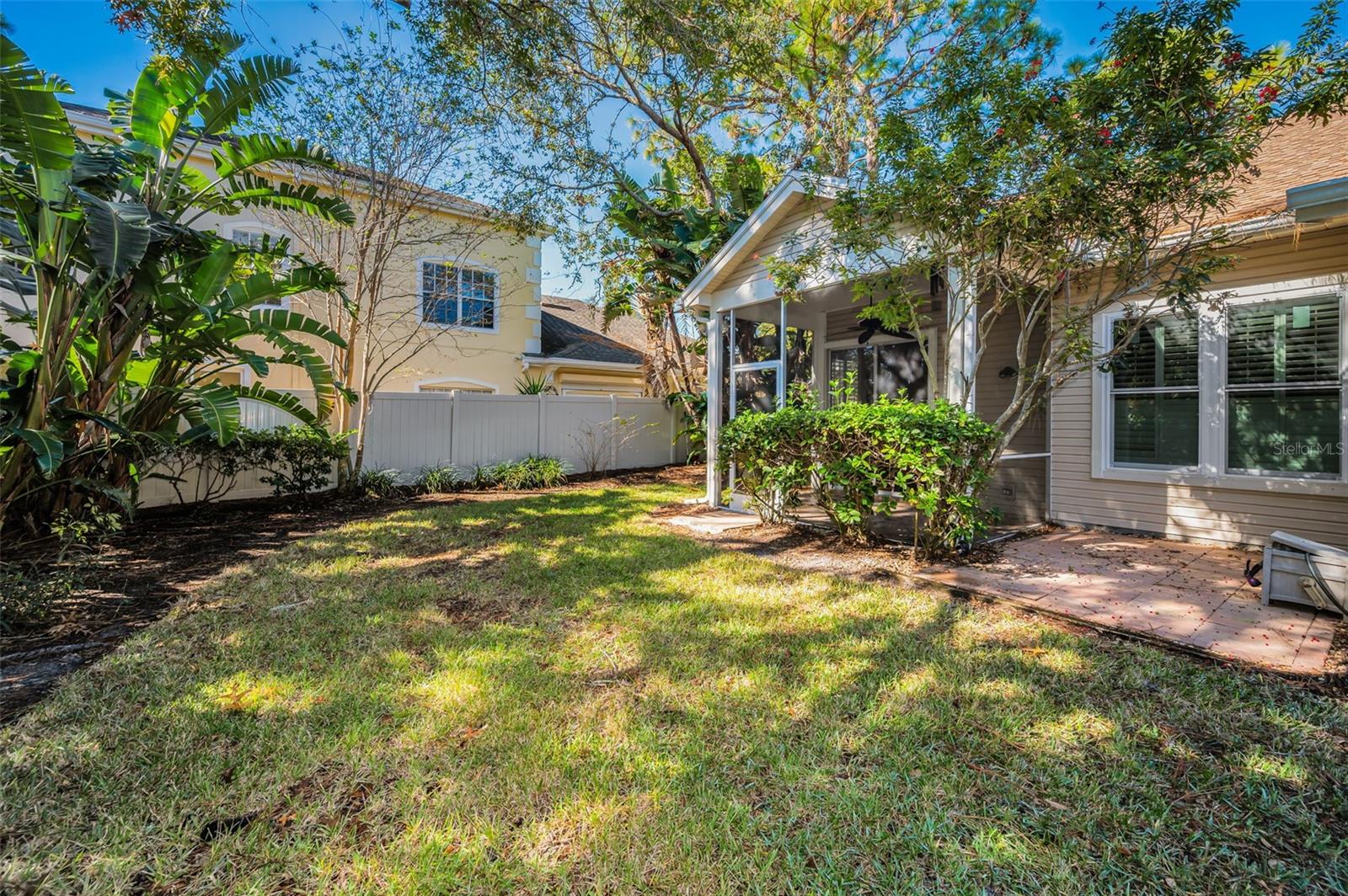 Backyard/Exterior Rear