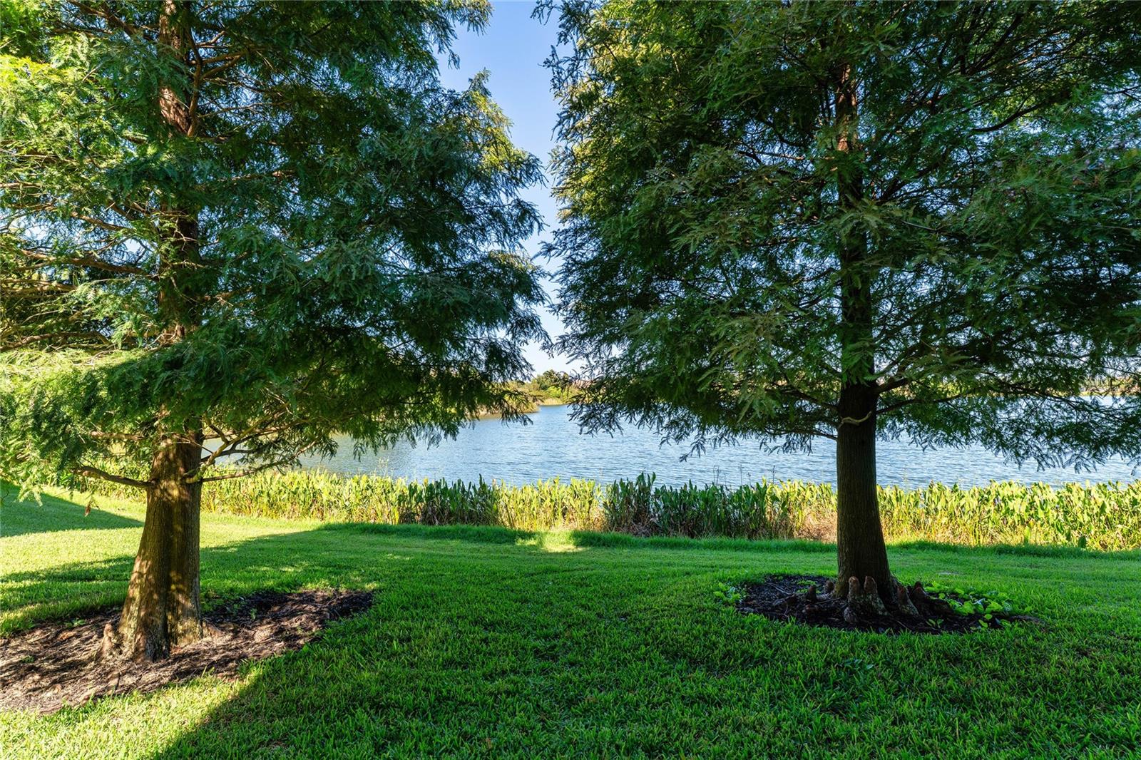 view of backyard space