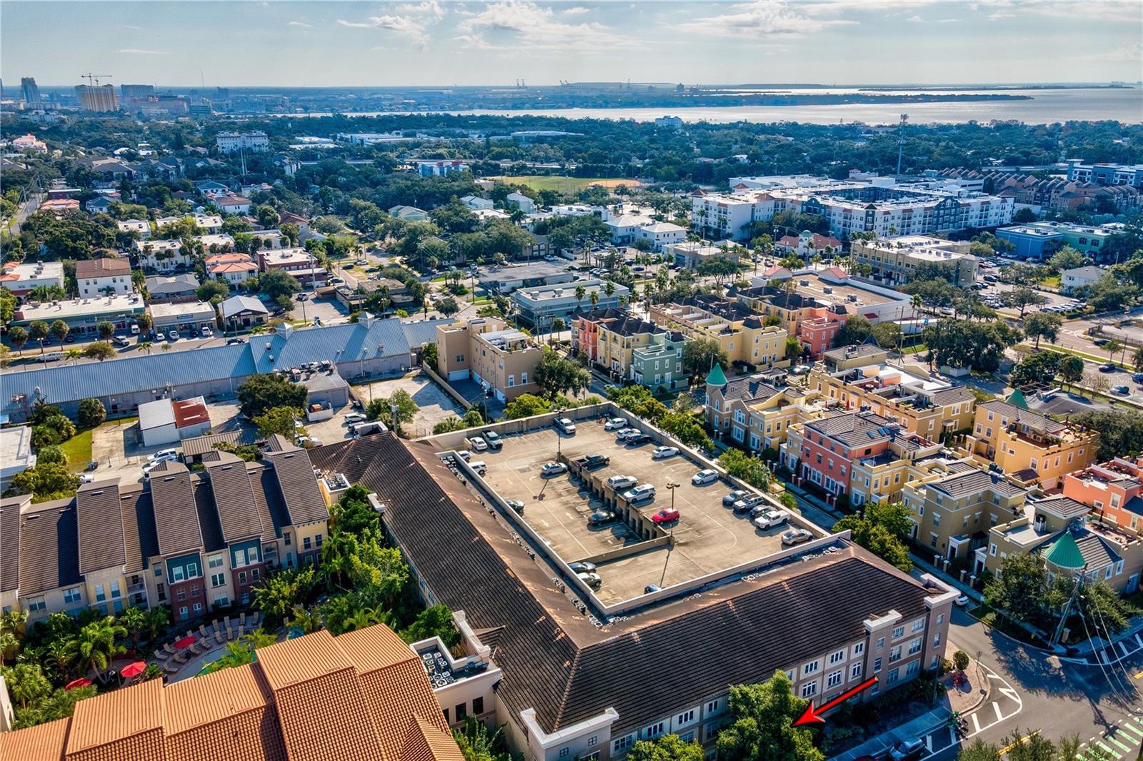 Near Hyde Park and Bayshore Boulevard