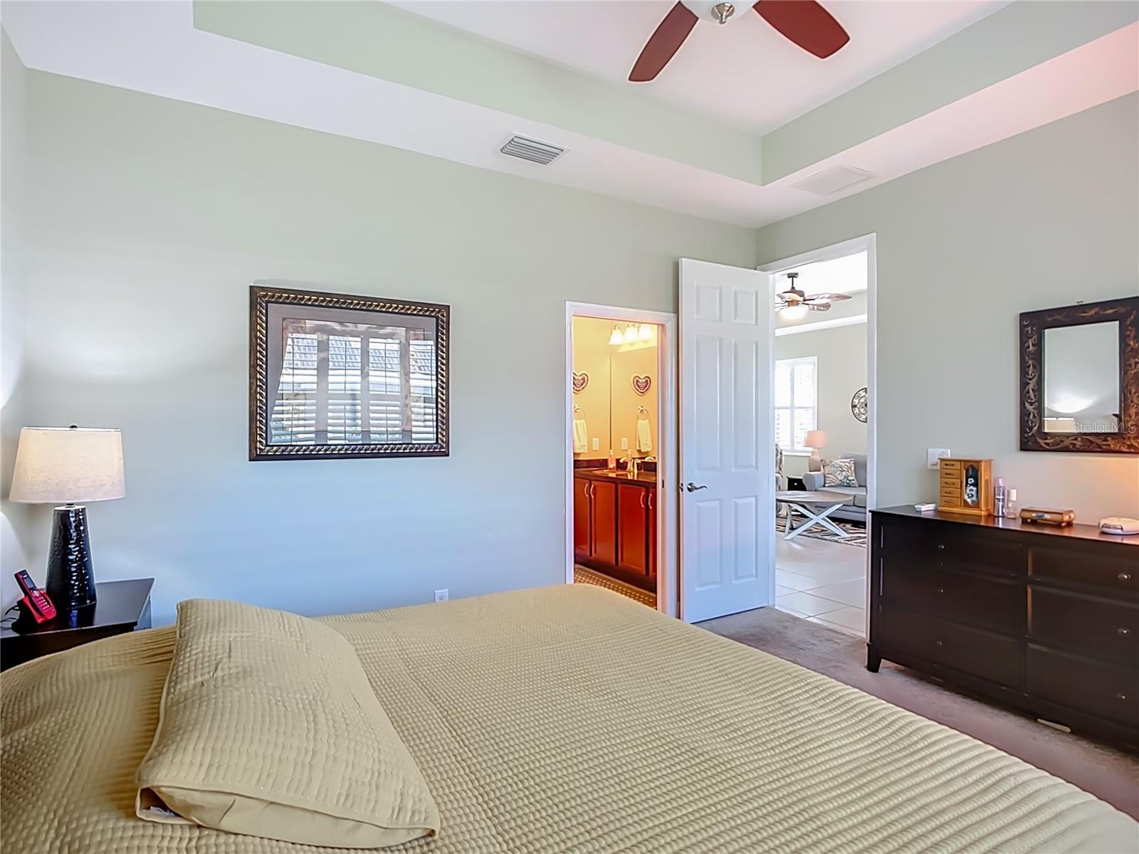 Master BR has a tray ceiling