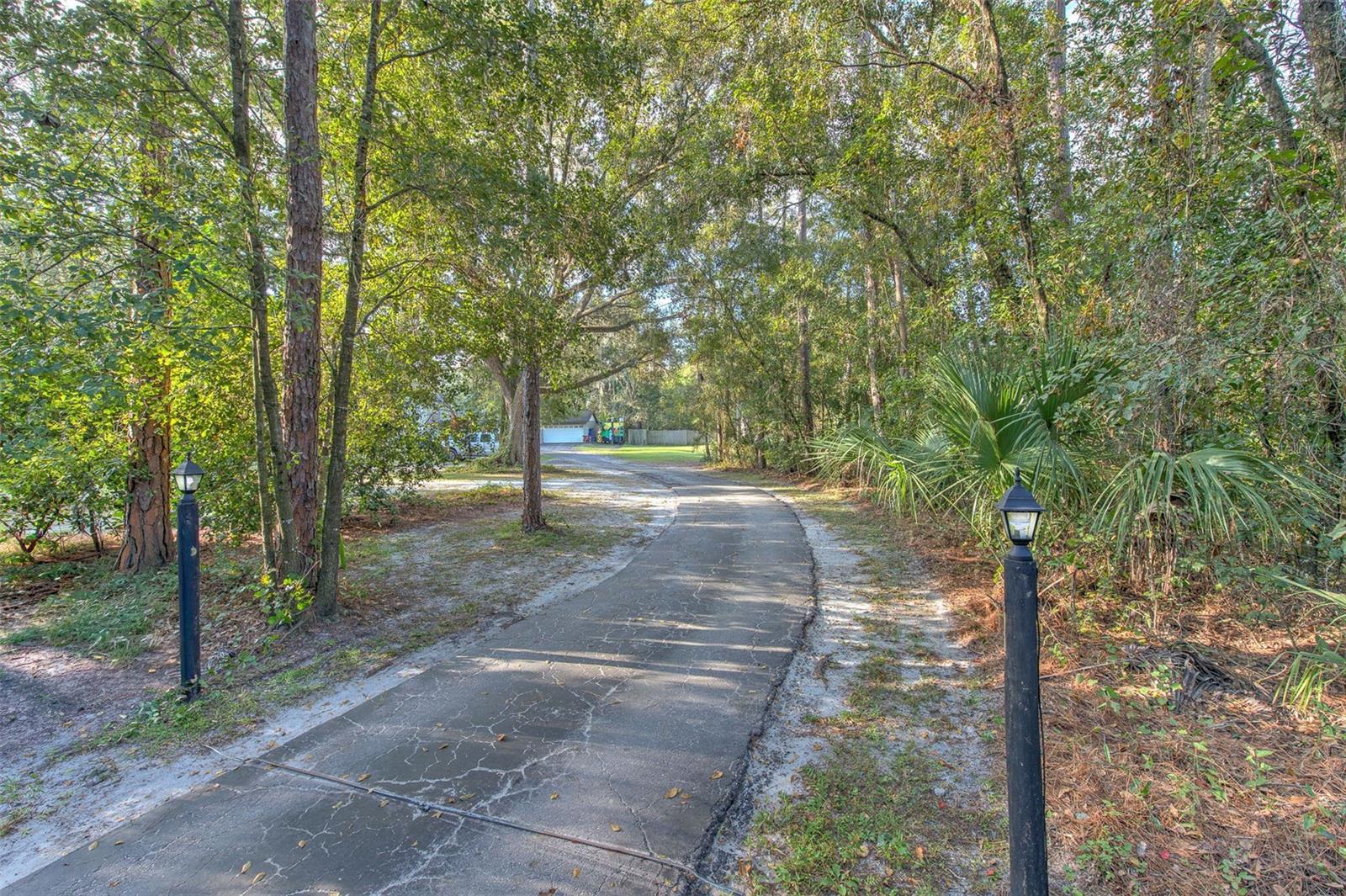 Driveway
