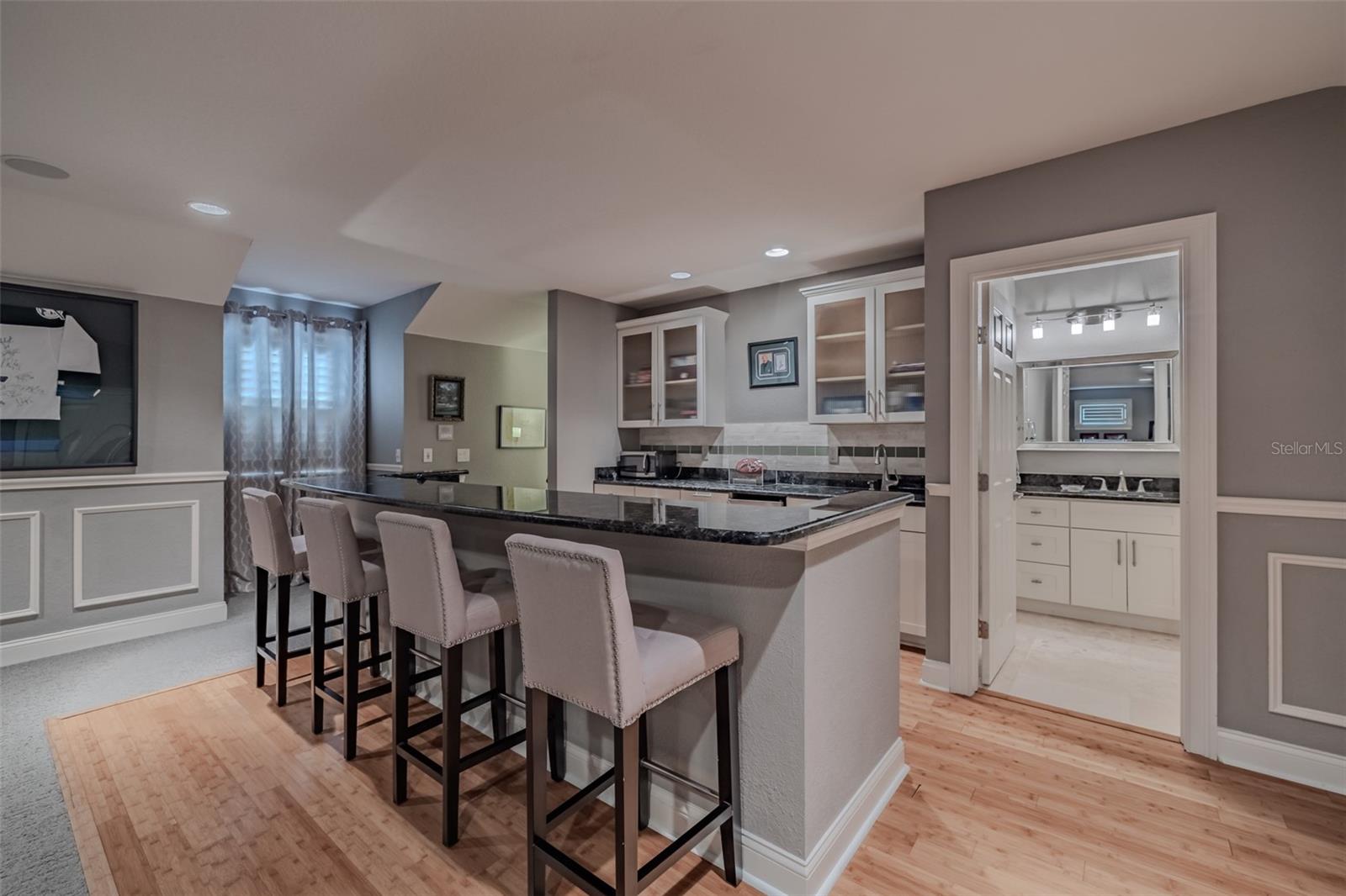 Wet Bar in Media Room