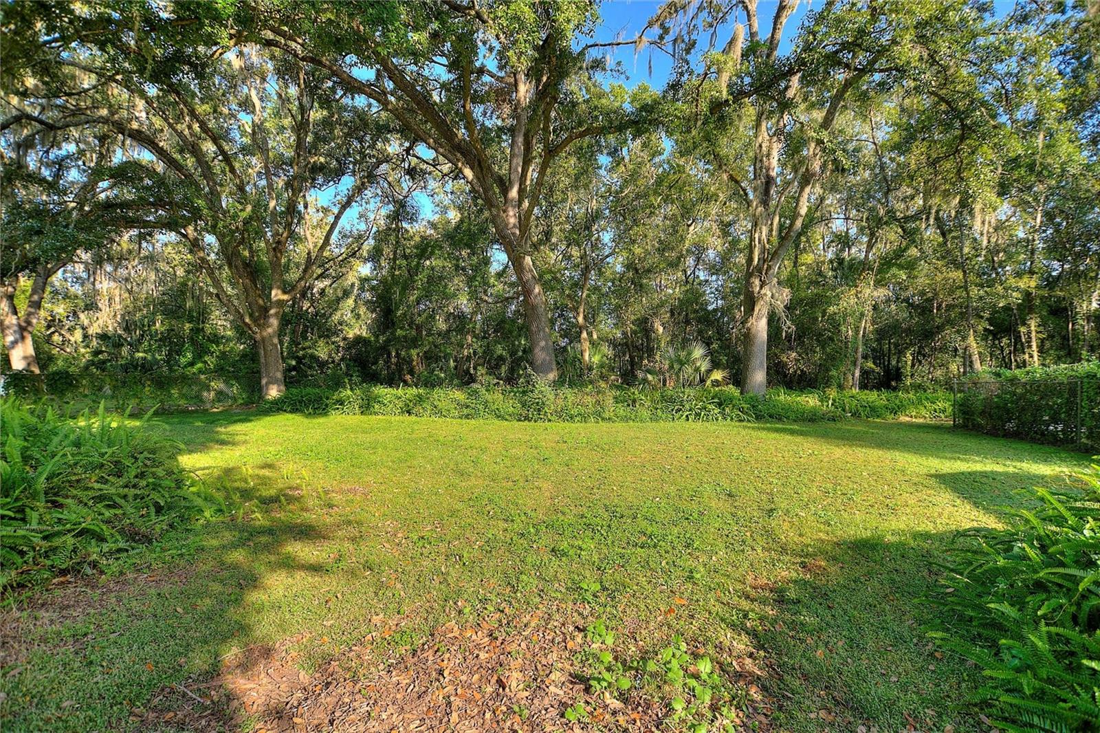 Beautiful back yard!
